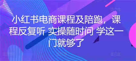 小红书电商课程及陪跑，课程反复听 实操随时问 学这一门就够了-营销武器库