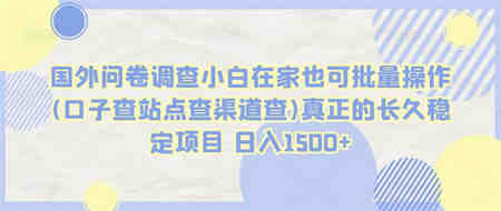 国外问卷调查小白在家也可批量操作(口子查站点查渠道查)真正的长久稳定项目 日入1500+-营销武器库