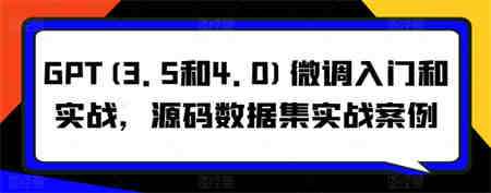 GPT(3.5和4.0)微调入门和实战，源码数据集实战案例-营销武器库