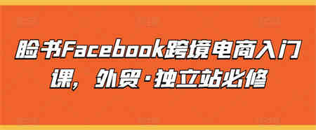 脸书Facebook跨境电商入门课，外贸·独立站必修-营销武器库