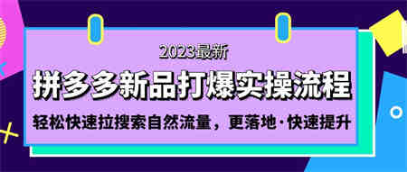 拼多多-新品打爆实操流程：轻松快速拉搜索自然流量，更落地·快速提升!-营销武器库