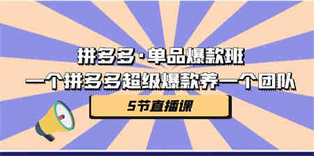 拼多多·单品爆款班，一个拼多多超级爆款养一个团队（5节直播课）-营销武器库