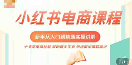 小红书电商新手入门到精通实操课，从入门到精通做爆款笔记，开店运营-营销武器库