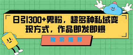 独家推荐！日引300+男粉，超多种私域变现方式，作品即发即报-营销武器库