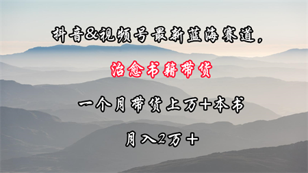 抖音&视频号最新蓝海赛道，治愈书籍带货，一个月带货上万+本书，月入2万＋-营销武器库