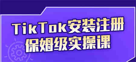 疯人院TikTok安装注册保姆级实操课，tiktok账号注册0失败，提高你的账号运营段位￼-营销武器库