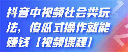 抖音中视频社会类玩法，傻瓜式操作就能赚钱【视频课程】-营销武器库