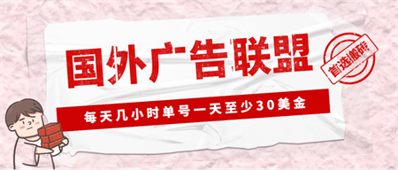 外面收费1980最新国外LEAD广告联盟搬砖项目，单号一天至少30美金(详细教程)-营销武器库