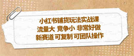 小红书铺货玩法实战课，流量大 竞争小 非常好做 新赛道 可复制 可团队操作-营销武器库