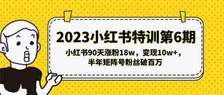 2023小红书特训第6期，小红书90天涨粉18w，变现10w+，半年矩阵号粉丝破百万-营销武器库