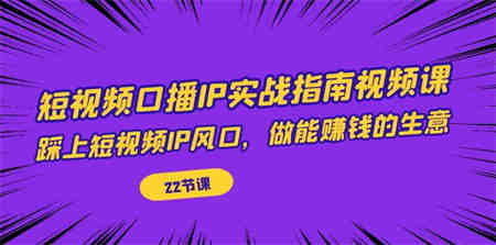 短视频口播IP实战指南视频课，踩上短视频IP风口，做能赚钱的生意（22节课）-营销武器库