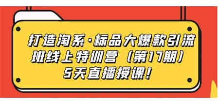 打造淘系·标品大爆款引流班线上特训营（第17期）5天直播授课！-营销武器库