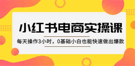 小红书·电商实操课：每天操作3小时，0基础小白也能快速做出爆款！-营销武器库