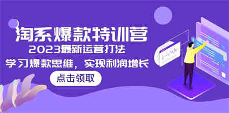 2023淘系爆款特训营，2023最新运营打法，学习爆款思维，实现利润增长-营销武器库