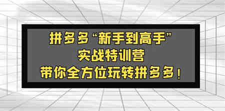 拼多多“新手到高手”实战特训营：带你全方位玩转拼多多！-营销武器库