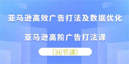 亚马逊高效广告打法及数据优化，亚马逊高阶广告打法课（36节）-营销武器库