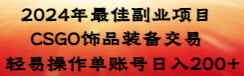 2024年最佳副业项目 CSGO饰品装备交易 轻易操作单账号日入200+-营销武器库