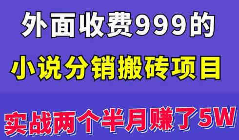 外面收费999的小说分销搬砖项目：实战两个半月赚了5W块，操作简单！￼-营销武器库