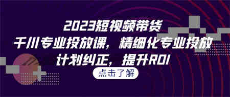 2023短视频带货-千川专业投放课，精细化专业投放，计划纠正，提升ROI-营销武器库