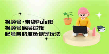 视频号·带货Puls班，视频号底层逻辑，起号自然流鱼塘等玩法-营销武器库