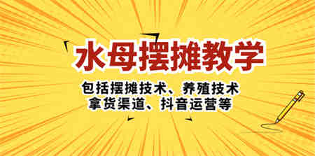 水母·摆摊教学，包括摆摊技术、养殖技术、拿货渠道、抖音运营等-营销武器库