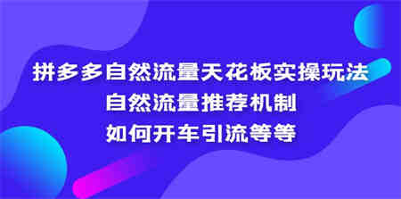 拼多多自然流量天花板实操玩法：自然流量推荐机制，如何开车引流等等-营销武器库