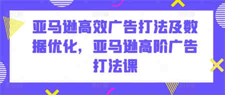 亚马逊高效广告打法及数据优化，亚马逊高阶广告打法课-营销武器库