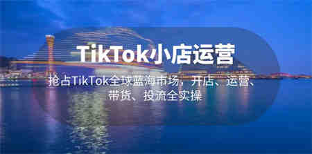 TikTok小店运营 抢占TikTok全球蓝海市场，开店、运营、带货、投流全实操-营销武器库