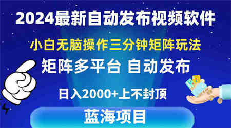 （10166期）2024最新视频矩阵玩法，小白无脑操作，轻松操作，3分钟一个视频，日入2k+-营销武器库