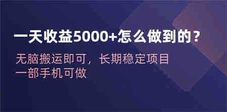 一天收益5000+怎么做到的？无脑搬运即可，长期稳定项目，一部手机可做-营销武器库