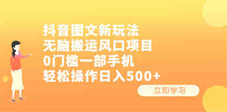 抖音图文新玩法，无脑搬运风口项目，0门槛一部手机轻松操作日入500+-营销武器库