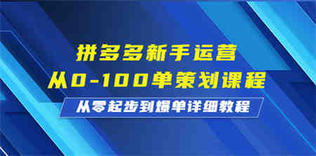 拼多多新手运营从0-100单策划课程，从零起步到爆单详细教程-营销武器库