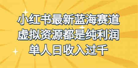 外面收费1980的小红书最新蓝海赛道，虚拟资源都是纯利润，单人日收入过千-营销武器库