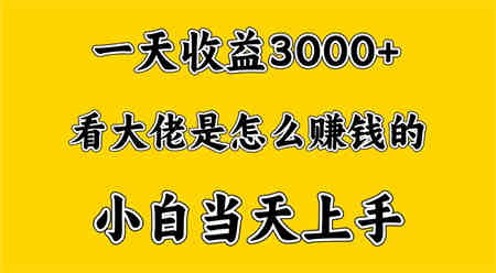 一天赚3000多，大佬是这样赚到钱的，小白当天上手，穷人翻身项目-营销武器库