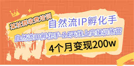 某社群收费培训：自然流IP 孵化手-14天线上实操训练营 4个月变现200w-营销武器库