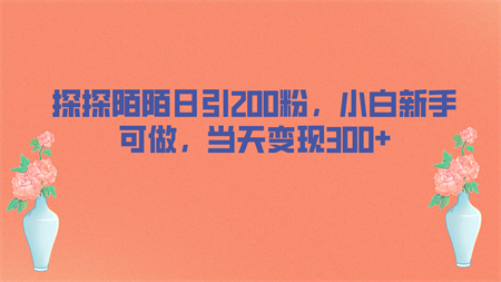 探探陌陌日引200粉，小白新手可做，当天就能变现300+-营销武器库