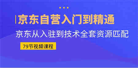 京东自营入门到精通：京东从入驻到技术全套资源匹配（79节课）-营销武器库