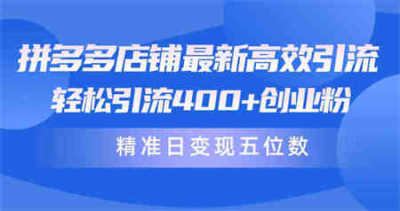 （10041期）拼多多店铺最新高效引流术，轻松引流400+创业粉，精准日变现五位数！-营销武器库