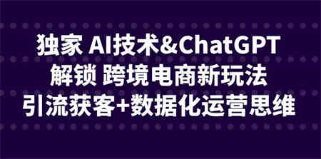 独家 AI技术&ChatGPT解锁 跨境电商新玩法，引流获客+数据化运营思维-营销武器库