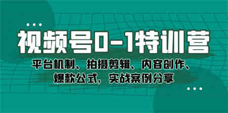 视频号0-1特训营：平台机制、拍摄剪辑、内容创作、爆款公式，实战案例分享-营销武器库