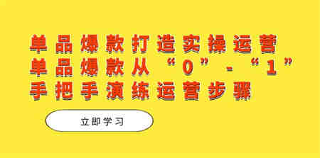 单品爆款打造实操运营，单品爆款从“0”-“1”手把手演练运营步骤-营销武器库