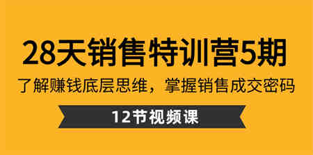 28天·销售特训营5期：了解赚钱底层思维，掌握销售成交密码（12节课）-营销武器库