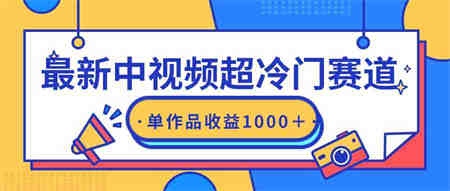 （9275期）最新中视频超冷门赛道，轻松过原创，单条视频收益1000＋-营销武器库