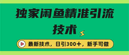 独家闲鱼引流技术，日引300＋实战玩法-营销武器库