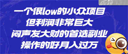 一个很low的小众项目，但利润非常巨大，闷声发大财的首选副业，月入过万-营销武器库