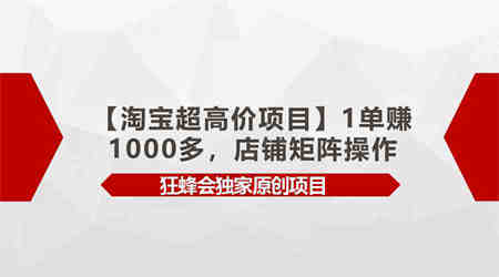 （9849期）【淘宝超高价项目】1单赚1000多，店铺矩阵操作-营销武器库