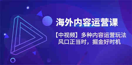 （10833期）海外内容 运营课【中视频】多种内容运营玩法 风口正当时 掘金好时机-101节-营销武器库