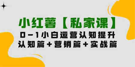 （9910期）小红薯【私家课】0-1玩赚小红书内容营销，认知篇+营销篇+实战篇（11节课）-营销武器库