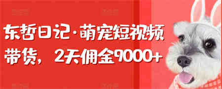 东哲日记·萌宠短视频带货，2天佣金9000+-营销武器库