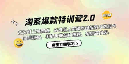 淘系爆款特训营2.0【第六期】从选品上架到付费放大 全店运营 打爆款 做好店-营销武器库